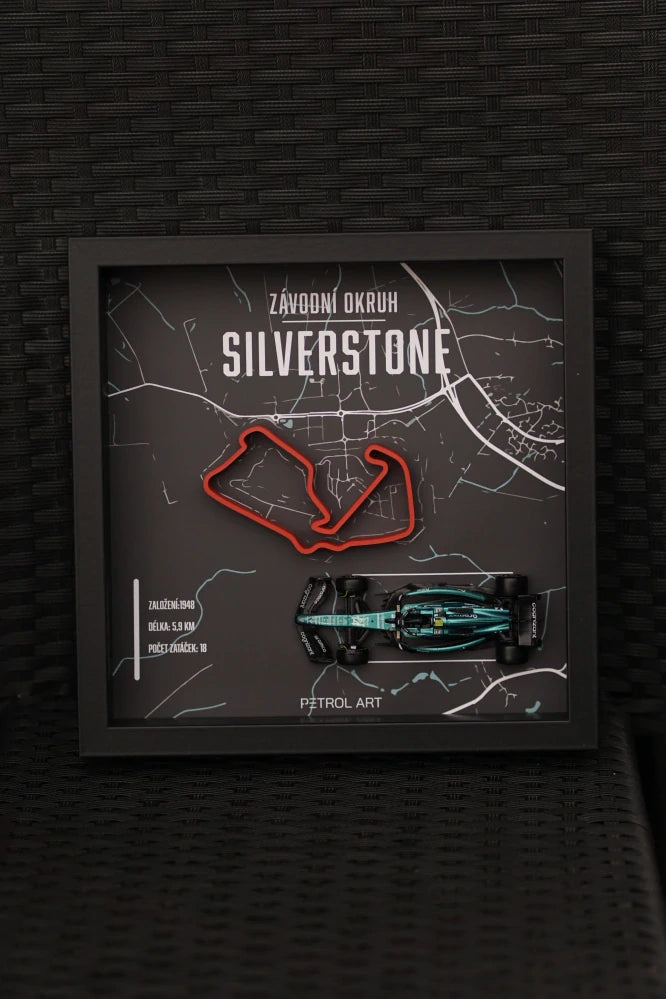 Obraz 3D Petrol Art – Fernando Alonso, Silverstone