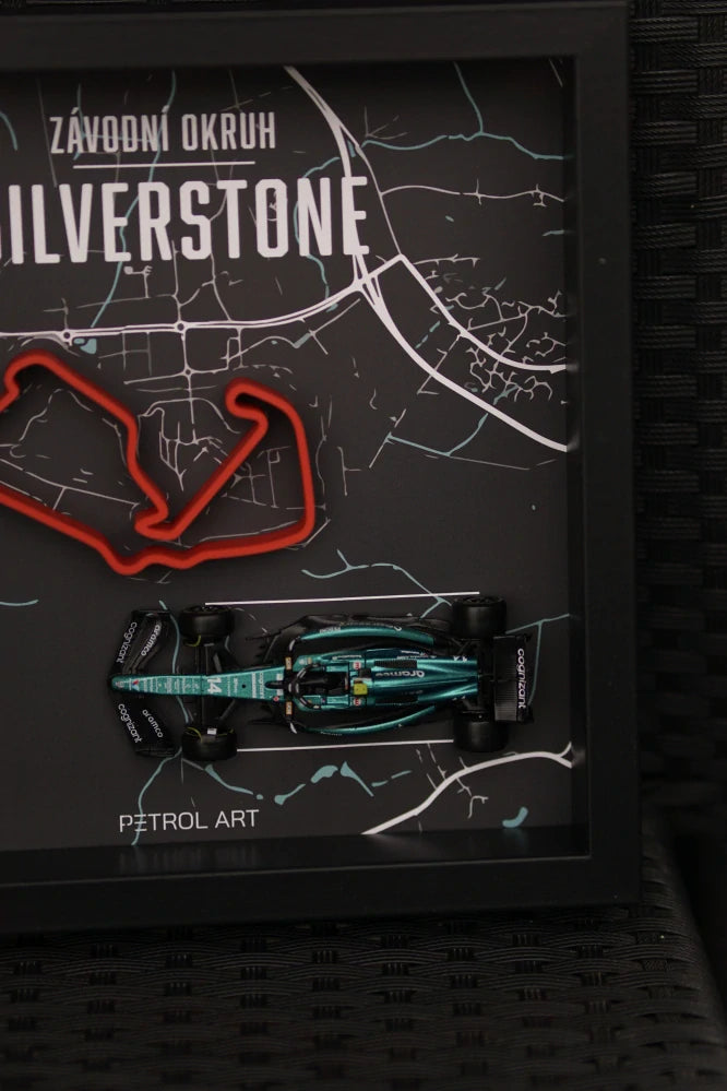 Obraz 3D Petrol Art – Fernando Alonso, Silverstone