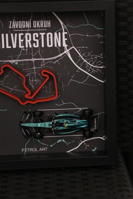 Obraz 3D Petrol Art – Fernando Alonso, Silverstone