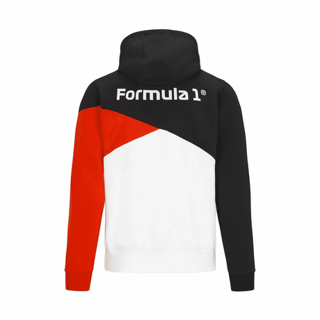 Bluza casual z kapturem F1 tech