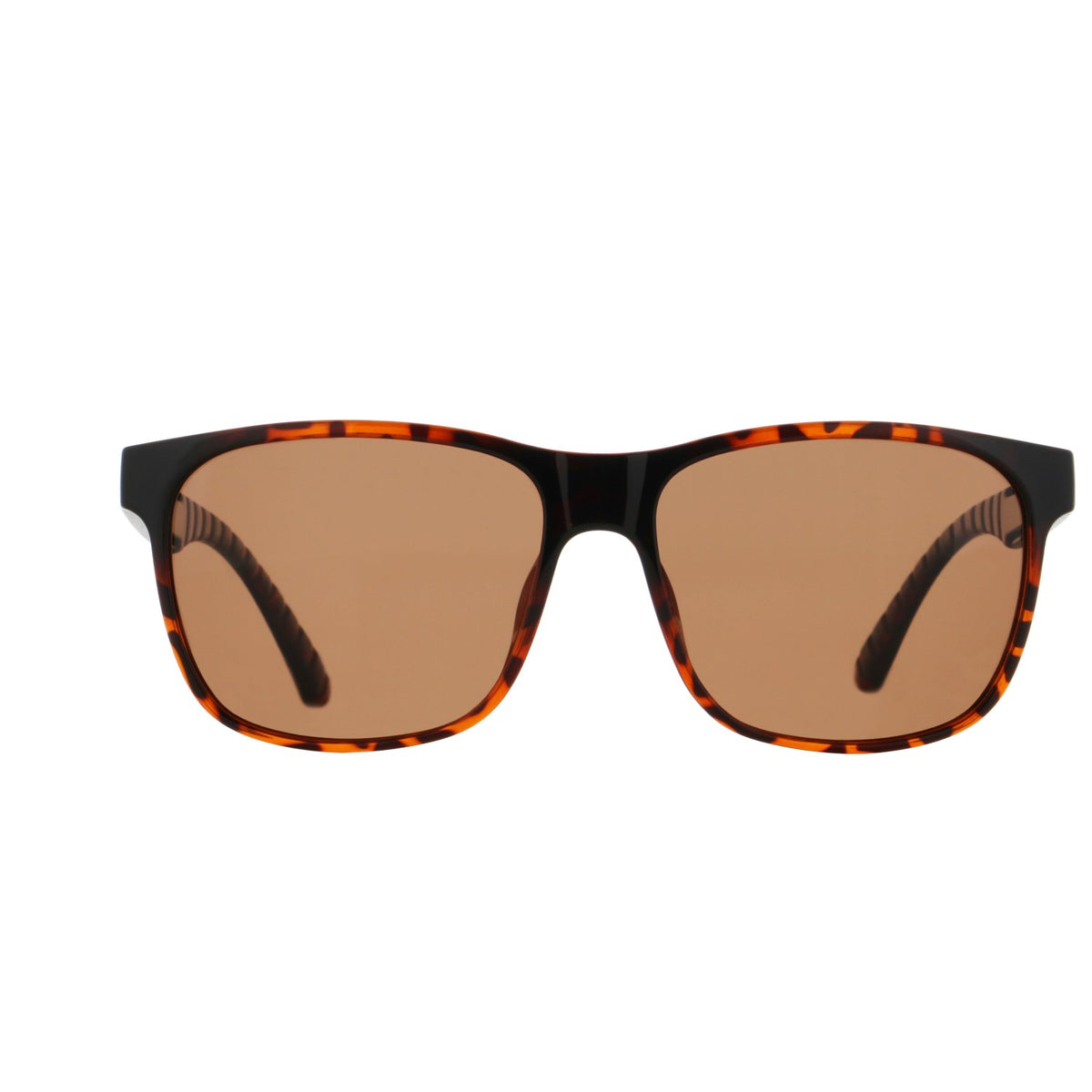 Red Bull Spect EARLE sunglasses brown with brown lenses