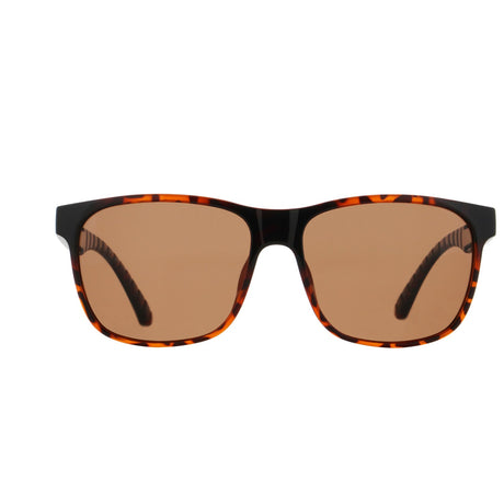 Red Bull Spect EARLE sunglasses brown with brown lenses