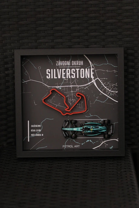 Obraz 3D Petrol Art – Fernando Alonso, Silverstone
